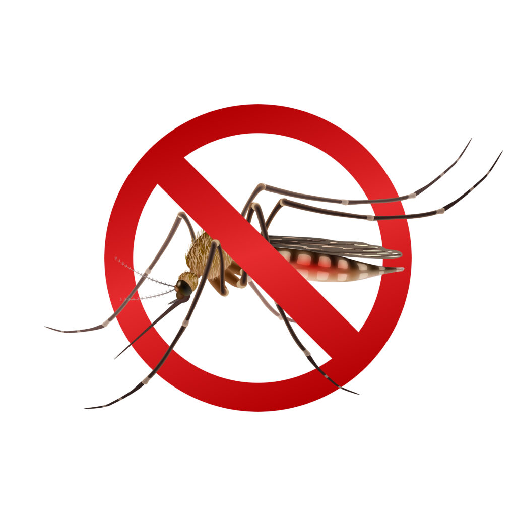 Chikungunya Virus 